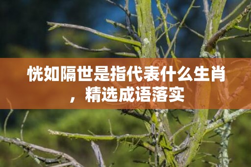 恍如隔世是指代表什么生肖，精选成语落实