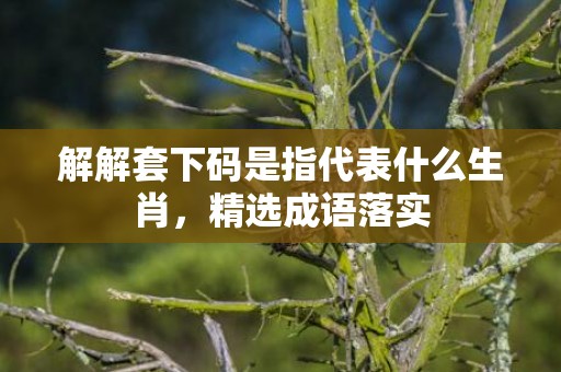 解解套下码是指代表什么生肖，精选成语落实