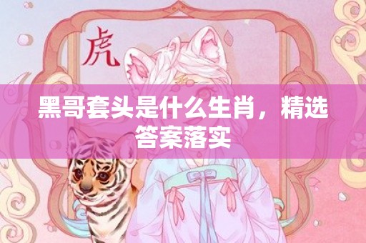 黑哥套头是什么生肖，精选答案落实