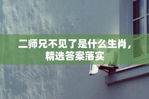 二师兄不见了是什么生肖，精选答案落实