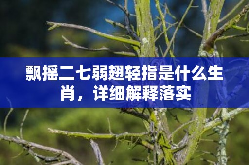 飘摇二七弱翅轻指是什么生肖，详细解释落实