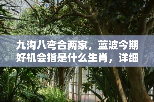 九沟八弯合两家，蓝波今期好机会指是什么生肖，详细解释落实