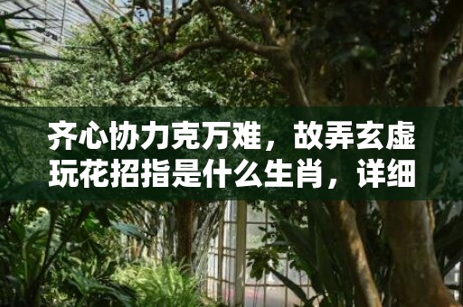 齐心协力克万难，故弄玄虚玩花招指是什么生肖，详细解释落实
