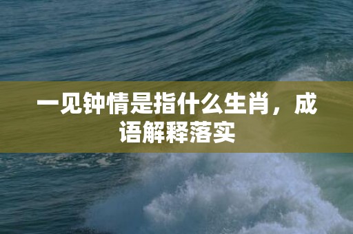 一见钟情是指什么生肖，成语解释落实