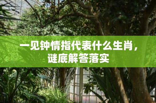 一见钟情指代表什么生肖，谜底解答落实