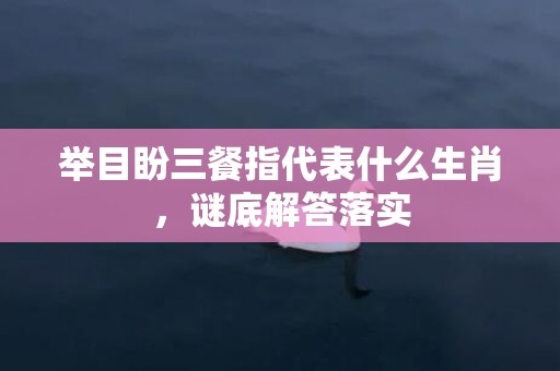 举目盼三餐指代表什么生肖，谜底解答落实