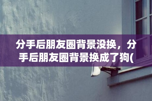 分手后朋友圈背景没换，分手后朋友圈背景换成了狗(分手了男朋友不换朋友圈背景)
