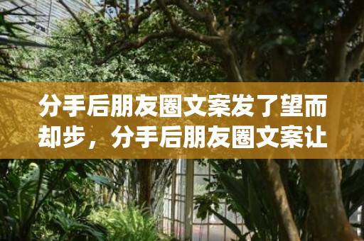分手后朋友圈文案发了望而却步，分手后朋友圈文案让他心痛(让男人看了心痛的分手短句)