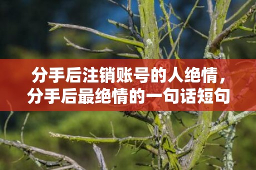 分手后注销账号的人绝情，分手后最绝情的一句话短句，分手后怎么走出来