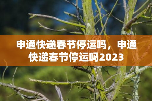 申通快递春节停运吗，申通快递春节停运吗2023