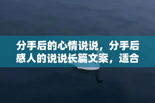 分手后的心情说说，分手后感人的说说长篇文案，适合分手发的文案