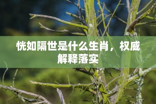 恍如隔世是什么生肖，权威解释落实