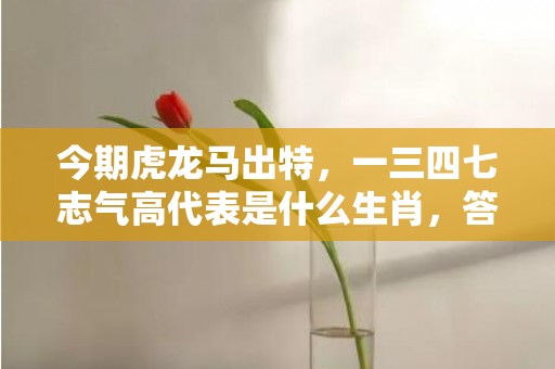 今期虎龙马出特，一三四七志气高代表是什么生肖，答案分析落实