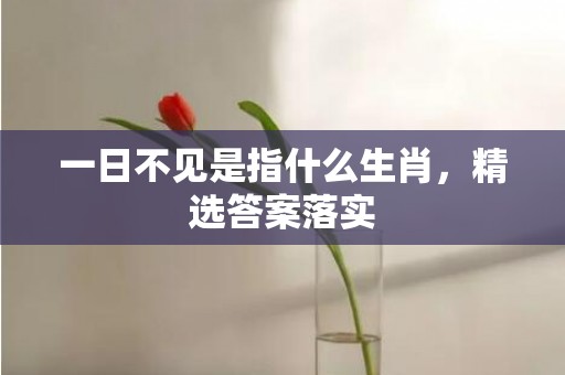 一日不见是指什么生肖，精选答案落实