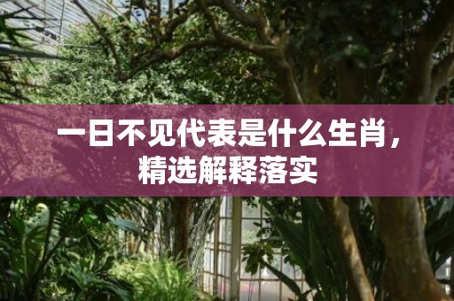 一日不见代表是什么生肖，精选解释落实
