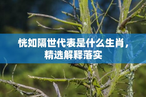 恍如隔世代表是什么生肖，精选解释落实