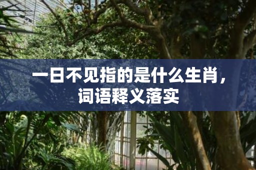 一日不见指的是什么生肖，词语释义落实