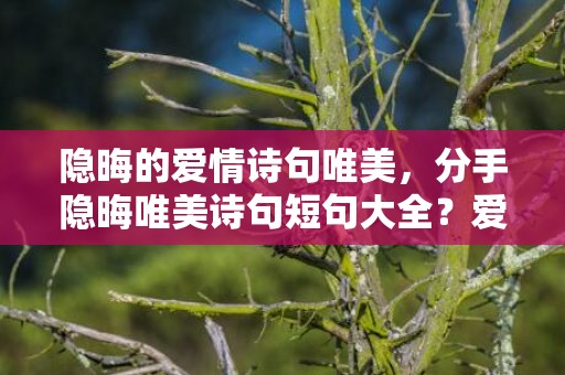 隐晦的爱情诗句唯美，分手隐晦唯美诗句短句大全？爱情的句子唯美短句