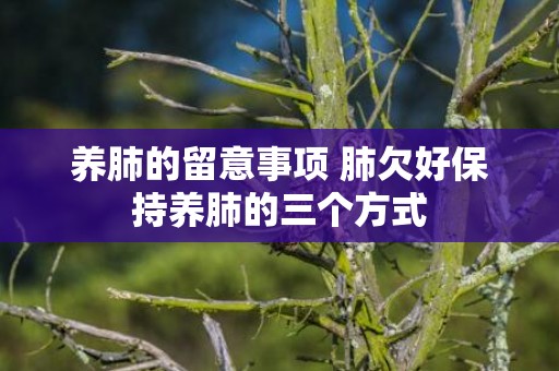 养肺的留意事项 肺欠好保持养肺的三个方式