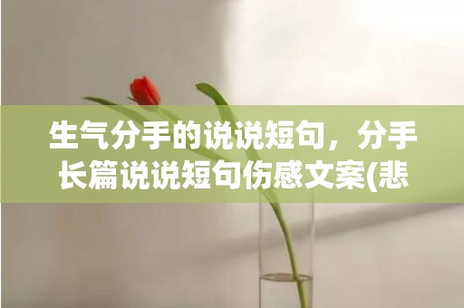 生气分手的说说短句，分手长篇说说短句伤感文案(悲伤的文案)