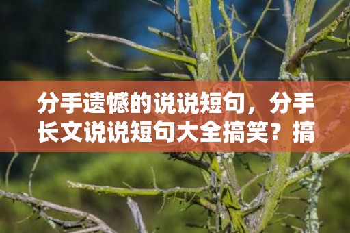 分手遗憾的说说短句，分手长文说说短句大全搞笑？搞笑说说短句爆笑