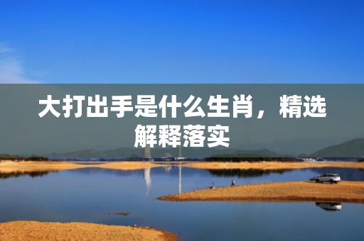 大打出手是什么生肖，精选解释落实