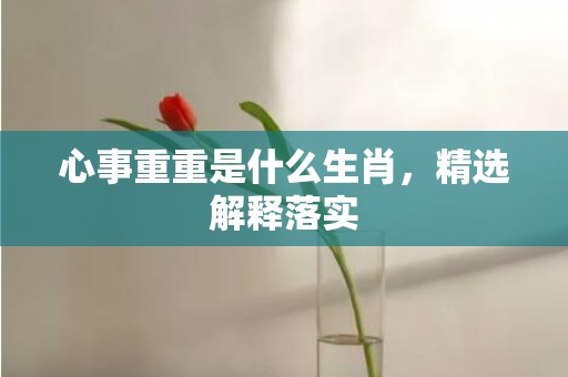 心事重重是什么生肖，精选解释落实