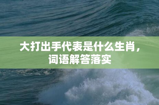 大打出手代表是什么生肖，词语解答落实