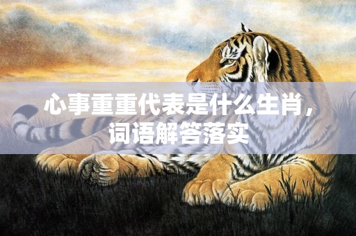 心事重重代表是什么生肖，词语解答落实