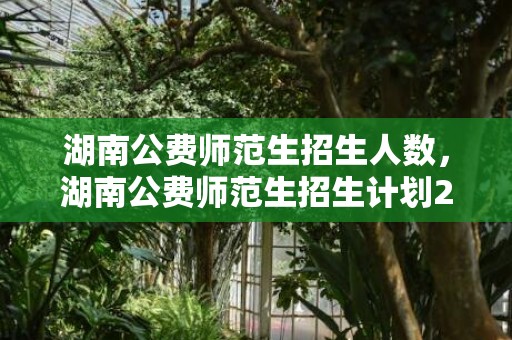 湖南公费师范生招生人数，湖南公费师范生招生计划2023