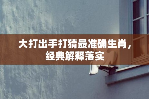 大打出手打猜最准确生肖，经典解释落实