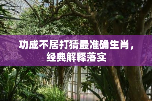 功成不居打猜最准确生肖，经典解释落实