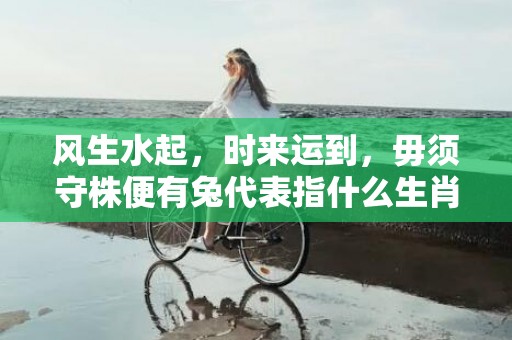 风生水起，时来运到，毋须守株便有兔代表指什么生肖，词语解释落实