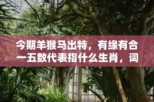 今期羊猴马出特，有缘有合一五数代表指什么生肖，词语解释落实