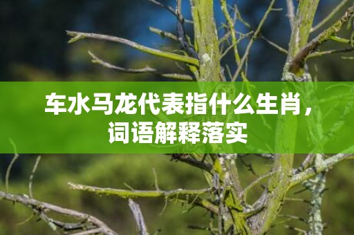 车水马龙代表指什么生肖，词语解释落实