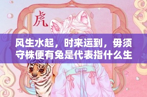 风生水起，时来运到，毋须守株便有兔是代表指什么生肖，精选答案落实
