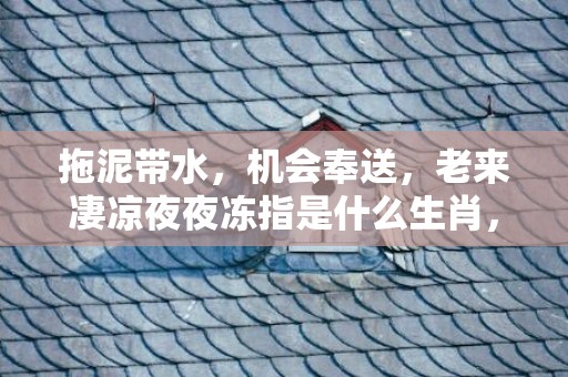 拖泥带水，机会奉送，老来凄凉夜夜冻指是什么生肖，词语精选落实