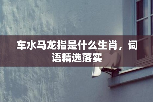 车水马龙指是什么生肖，词语精选落实