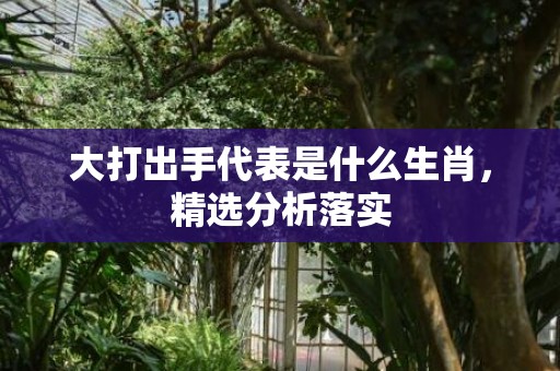 大打出手代表是什么生肖，精选分析落实