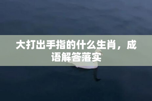 大打出手指的什么生肖，成语解答落实