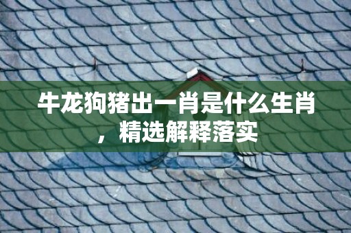 牛龙狗猪出一肖是什么生肖，精选解释落实