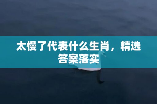 太慢了代表什么生肖，精选答案落实
