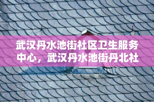 武汉丹水池街社区卫生服务中心，武汉丹水池街丹北社区拆迁最新消息