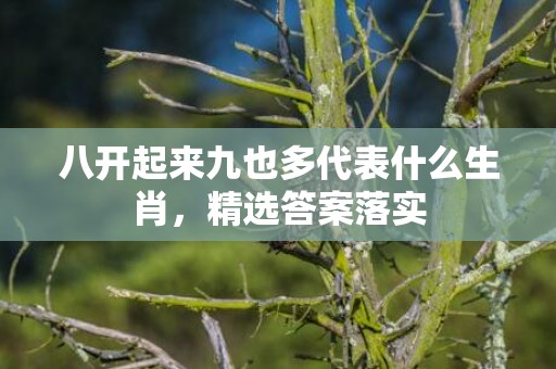 八开起来九也多代表什么生肖，精选答案落实