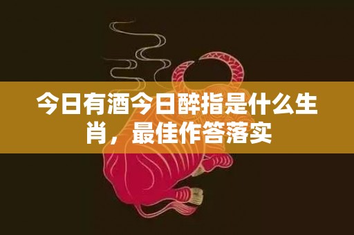 今日有酒今日醉指是什么生肖，最佳作答落实
