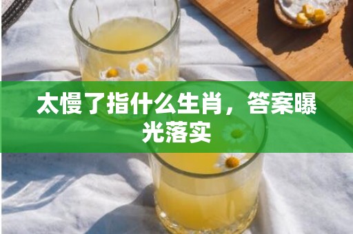 太慢了指什么生肖，答案曝光落实