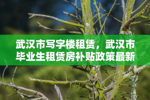 武汉市写字楼租赁，武汉市毕业生租赁房补贴政策最新2023