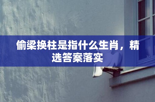 偷梁换柱是指什么生肖，精选答案落实