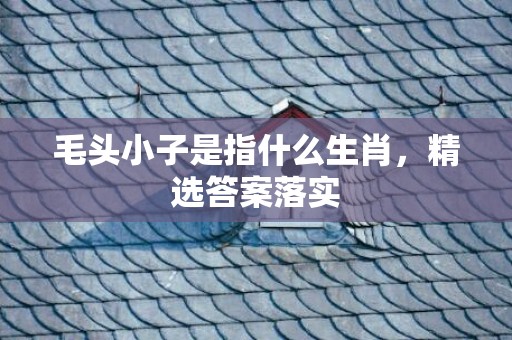 毛头小子是指什么生肖，精选答案落实