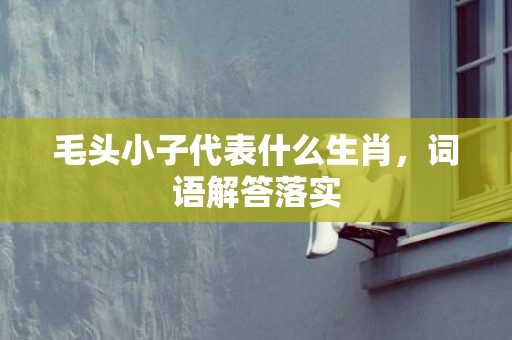 毛头小子代表什么生肖，词语解答落实